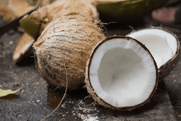 coconut images husk